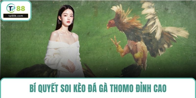 Bí quyết soi kèo đá gà thomo đỉnh cao
