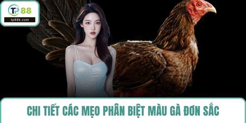 Chi tiết các mẹo phân biệt màu gà đơn sắc