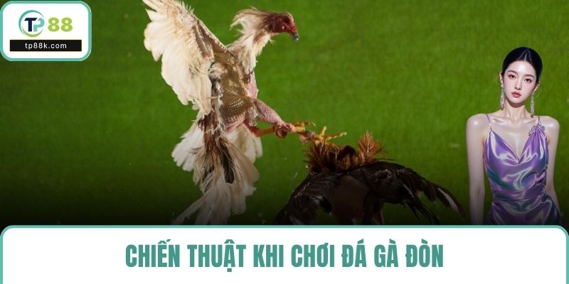 Chiến thuật khi chơi đá gà đòn