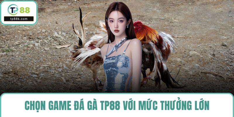 Chọn game đá gà TP88 với mức thưởng lớn dễ thắng