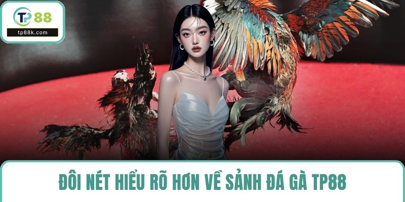 Đôi nét hiểu rõ hơn về sảnh đá gà TP88