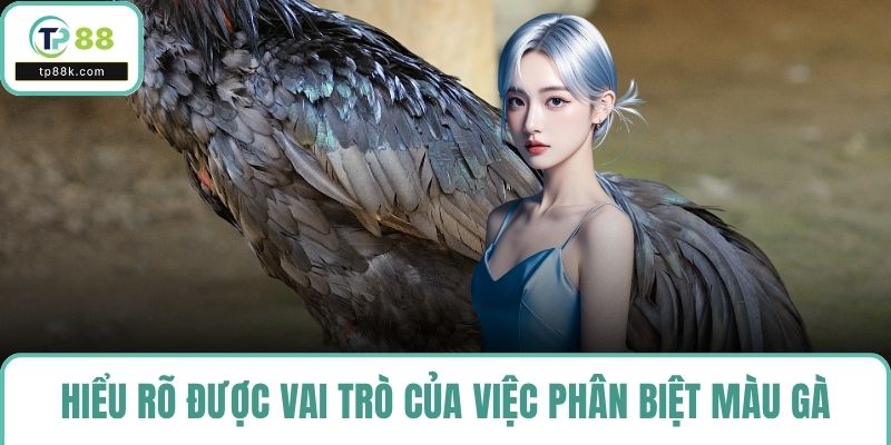 Hiểu rõ được vai trò của việc phân biệt màu gà