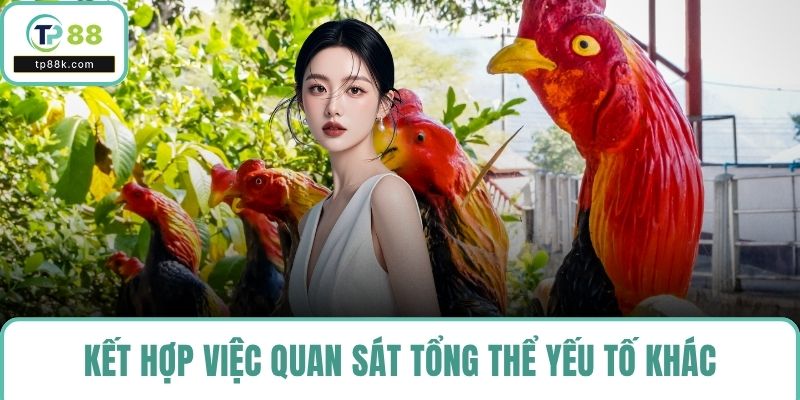Kết hợp việc quan sát tổng thể yếu tố khác