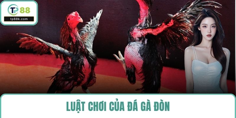 Luật chơi của đá gà đòn