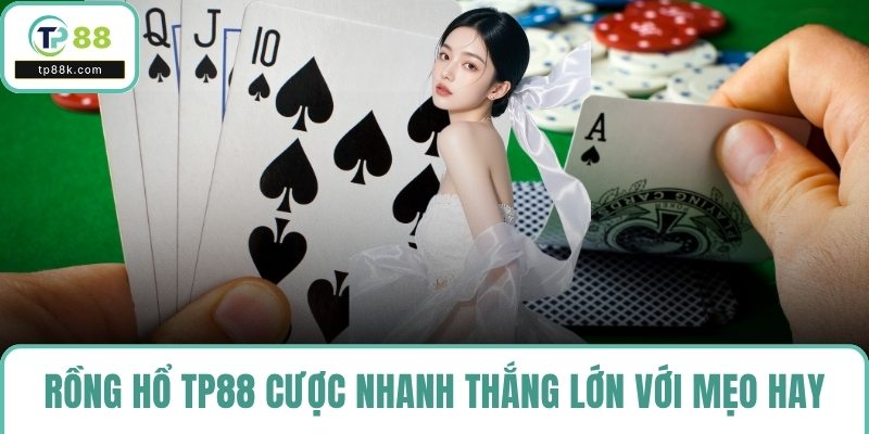 Rồng hổ TP88
