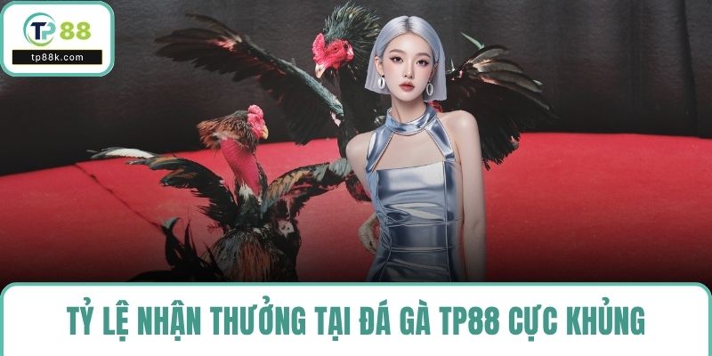 Tỷ lệ nhận thưởng tại đá gà TP88 cực khủng